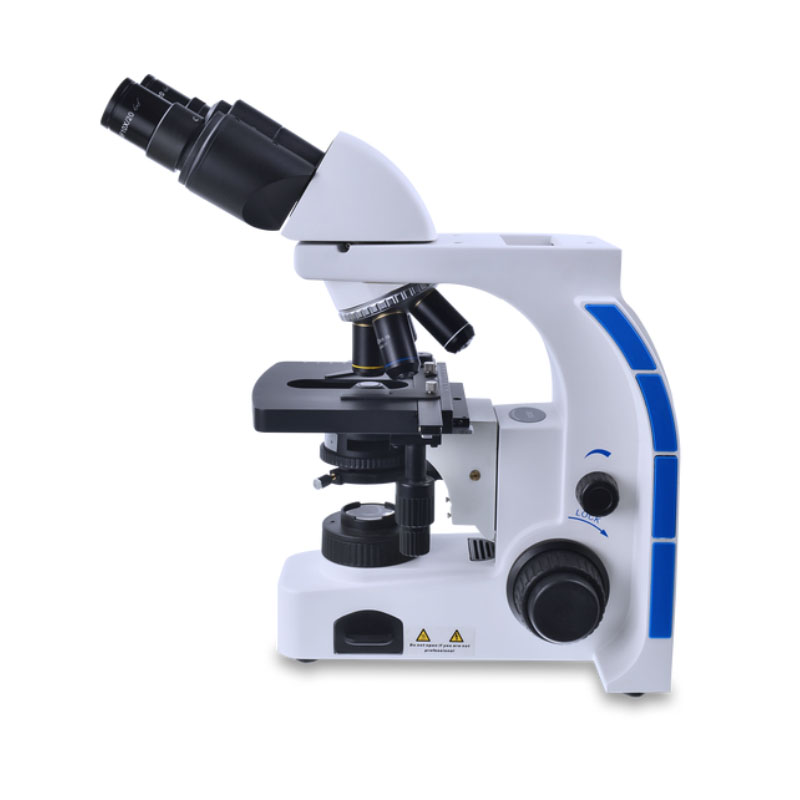 moldura de microscopio