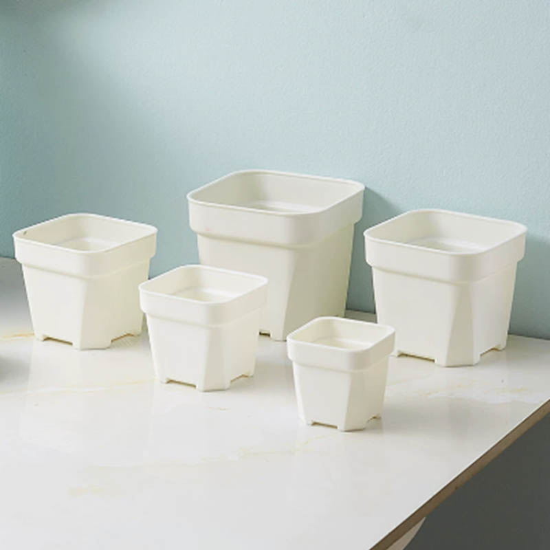 Moldura de plantas en macetas